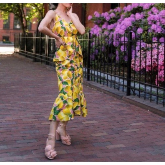 Farm Rio / anthropologie Fresh Lemons Ruffled Midi Dress Small - Picture 7 of 15